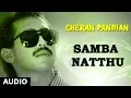 Lagu Samba Natthu Song | Cheran Pandiyan Songs | Sarath Kumar, Srija, Soundaryan | Tamil Old Songs