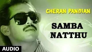 samba natthu song cheran pandiyan songs sarath kumar srija soundaryan tamil old songs