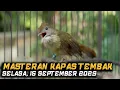Download Lagu MASTERAN KAPAS TEMBAK GACOR | EDISI PAGI HARI | SELASA, 16 SEPTEMBER 2025