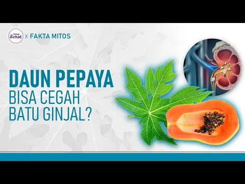 Mitos Fakta Seputar Daun Pepaya, Benarkah Bisa Cegah Batu Ginjal?