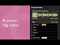 Tag Editor Properties Panel Loopcloud 101