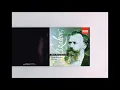 Brahms - String Quartet No.1 　Alban Berg SQ