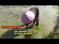 Download Lagu RETEH INDRAGIRI HILIR,Vokal.Rafika Amalia karya Mulyadi INHIL (Official Video)
