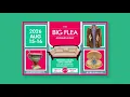 Big Flea at Fredericksburg VA