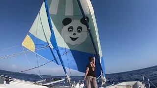 Хороший ветер – хороший сейлинг!