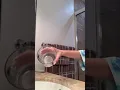 Zodiac Signs TikTok how Leos are created