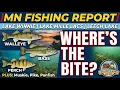 Minnesota Fishing Report - Mille Lacs Lake Leech Lake and Lake Winnie 08-14-26