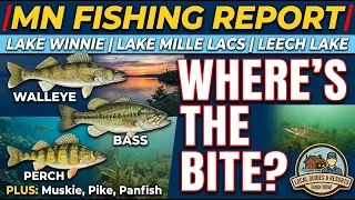 Minnesota Fishing Report - Mille Lacs Lake Leech Lake and Lake Winnie 08-14-26