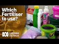 Which fertiliser to use Gardening 101 Gardening Australia