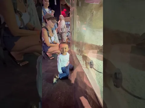 Throwback to our Malaysia Trip 😍 #appulovesappu #familyvlog y