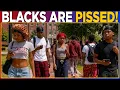 The Black Community is ENRAGED at HBCU