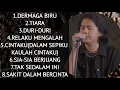 Download Lagu Cover Terbaru Maulana Ardiansyah Dermaga biru, Tiara, Duri duri Tanpa iklan