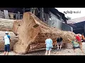 Download Lagu TRANSAKSI FANTASTIS !! Gergaji Kayu Jati Panjang Material Joglo Galih Tua Lebih Halus dari Biasanya.