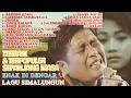 Lagu Simalungun Terpopuler Sepanjang Masa Pilihan Terbaik
