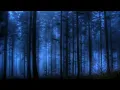 Download Lagu Melodic techno mix 2022 (Jonas Saalbach,  Cliff de Zoete,  Clawz SG...)