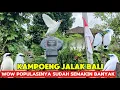 Download Lagu UPDATE TERBARU KAMPOENG JALAK BALI 