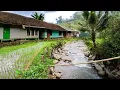 Download Lagu PESONA KEINDAHAN ALAM PEDESAAN DI JAWABARAT, DENGAN AIR SUNGAI YANG JERNIH KHAS PEGUNUNGAN