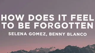 Selena Gomez Benny Blanco How Does It Feel To Be Forgotten Lyrics 
