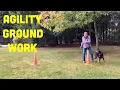 Foundation Dog Agility Training - Front and Rear Cross