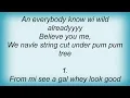Beenie Man - Old Dog Lyrics