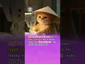 Download Lagu Đời Công Nhân Bất Công lắm Mẹ À! #music #nhacchill #tamtrang #cover #cat  #meow #@TCMusicHub ​