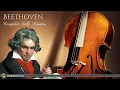 Lagu Beethoven: Cello Sonatas (Complete)