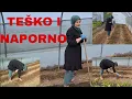 Download Lagu ZAŠTO RADIM SVE SAMA❓️❓️