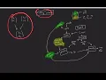Zero-knowledge proof composition and recursion Part 2 Sangria