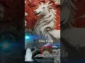 Download Lagu Shio yang beruntung di tahun 2025 berikutnya adalah shio kuda