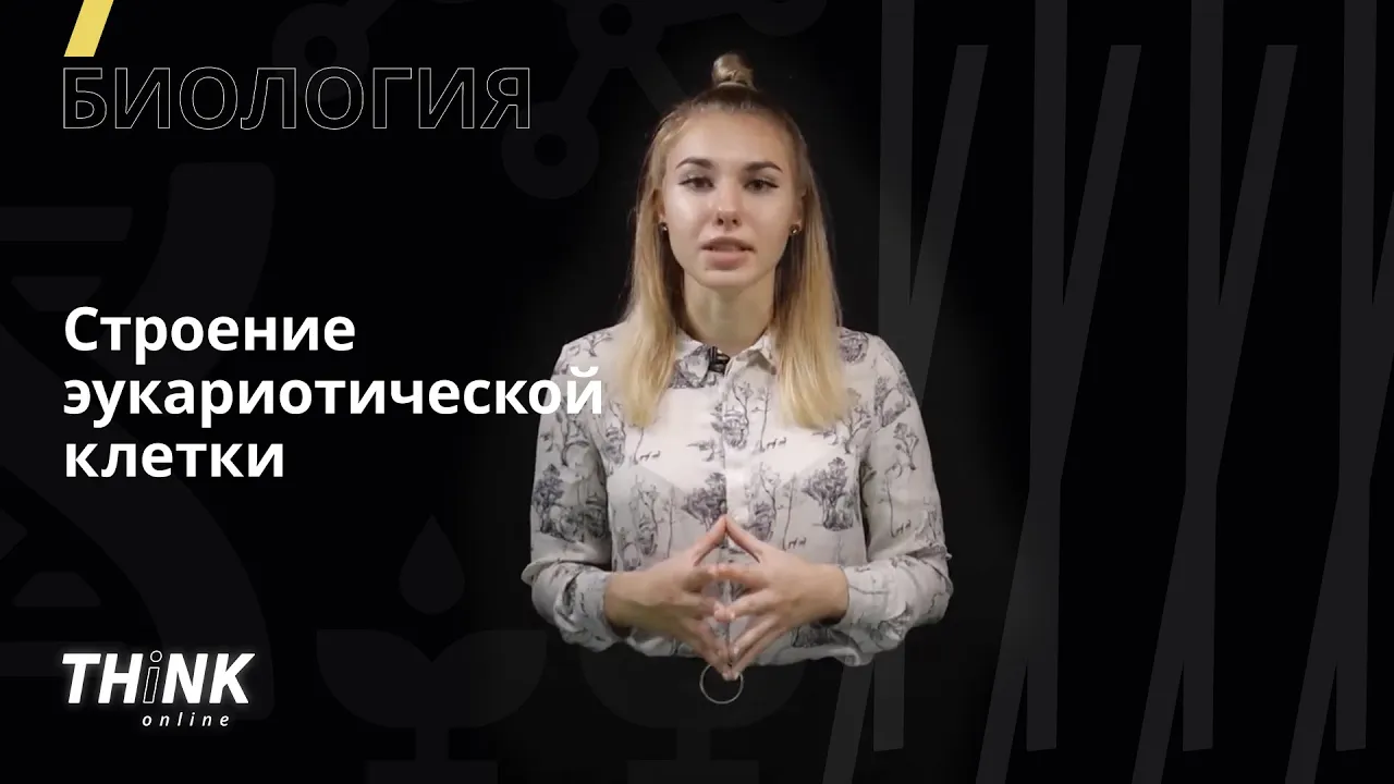 Строение эукариотической клетки | Биология