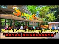 Lagu 🐘KEBUN BINATANG BANDUNG🐘 Kembali Dibuka‼️Bayar Seikhlasnya | Kita Explore Seperti Apakah Kondisinya❓