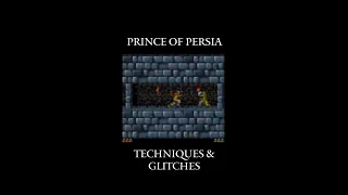 Prince Of Persia SNES Techniques Glitches Level 1  Prince Of Persia SNES Techniques Glitches Level 1