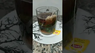 Lipton ليبتون النعناع شاي 