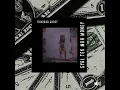 Gyal Tek Muh Money (Brawling Riddim Single)