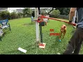 How to Use a Harbor Freight Farm Jack And Remove a Post