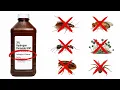 How To Kill 20 Household Pests With Hydrogen Peroxide Works EVERY Time