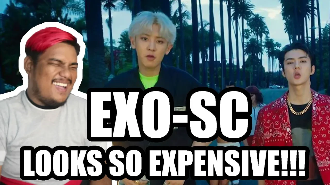 EXO-SC 세훈&찬열 'WHAT A LIFE' MV REACTION VIDEO