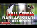Download Lagu CENDET GACOR FULL ISIAN GEREJA JEDA NATURAL BABLAS KUNTILANAK