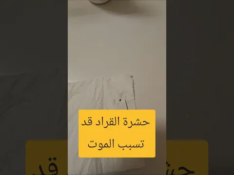حشرة القراد