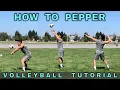 Lagu HOE TE PEPPEREN | Volleybal warming-up