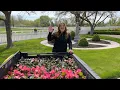 Planting Begonias Impatiens Garden Answer