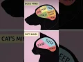 Download Lagu dogs are best forever #love of dog #