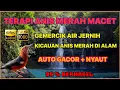 Download Lagu 🔴 TERAPI ANIS MERAH MACET \u0026 SUSAH BUNYI BIAR GACOR [Masteran MP3 Terapi Air + Pancingan Anis Merah]