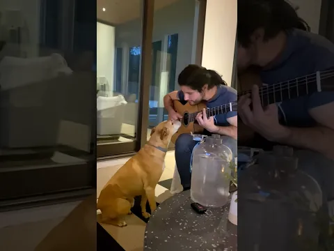 Dogs In Our Twenties ❤️