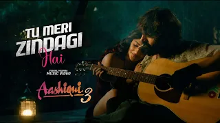 tu meri zindagi hai vishal mishra full song kartik aaryan sreeleela aashiqui 3 diwali 2025