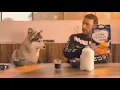 Take Her Place (feat. A R I Z O N A) - Don Diablo