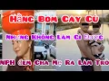 Lagu NP Hãng ,Bánh Mì ,Sơn Xàm ,Andrew Lé,USA Trân ,Tony