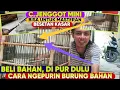 Download Lagu BEGINI CARA MUDAHNYA MERAWAT BURUNG BAHAN MASTERAN CUCAK JENGGOT MINI || Cara Merawat Burung