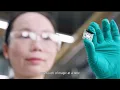 We are Renesas Company Overview