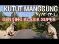 Download Lagu KUTUT MANGGUNG - GENDING KLASIK SUPER - UYON UYON JAWA PALING NYAMLENG